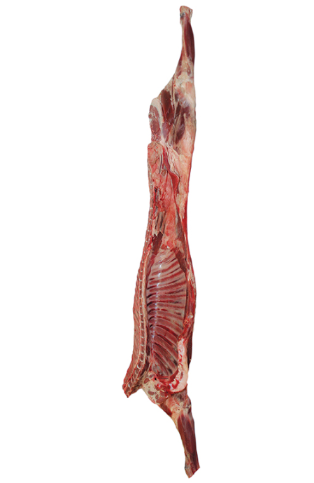 Side of Hogget - Contact Via Phone to Order